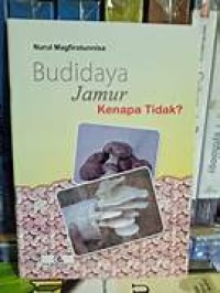 Image of Budidaya jamur kenapa tidak