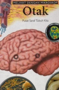 Image of Melihat dengan Mikroskop Otak Pusat Saraf  Tubuh Kita